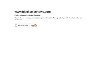 Screenshot of Black Voice News