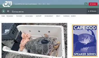 Screenshot of CAI