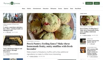 Screenshot of Ottawa News Network