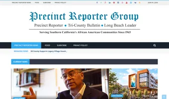 Screenshot of Precinct Reporter Group News