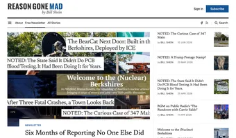 Screenshot of Reason Gone Mad