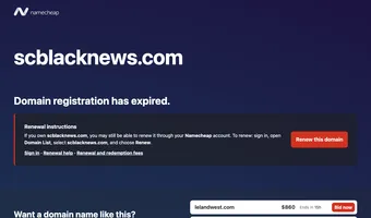 Screenshot of South Carolina Black News