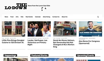 Screenshot of The Lo-Down